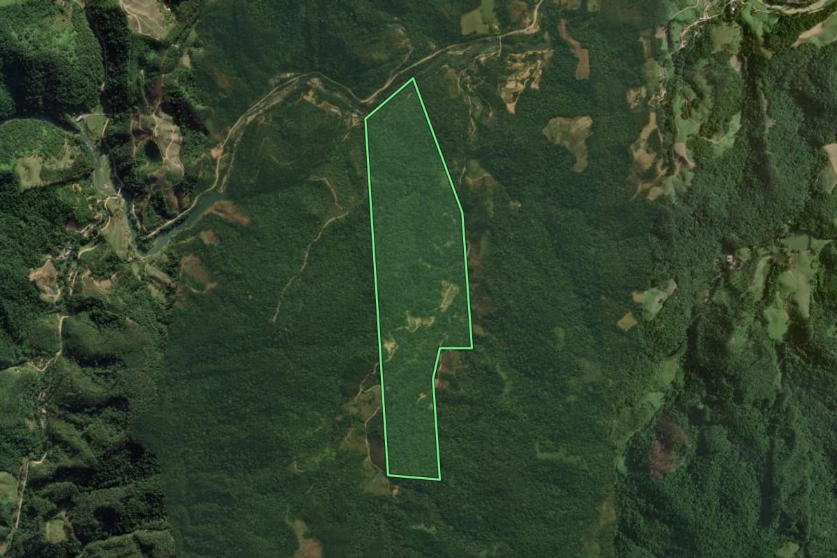Imagem de satélite do imóvel rural em Nova Trento (SC), com o contorno declarado no CAR desenhado por cima.