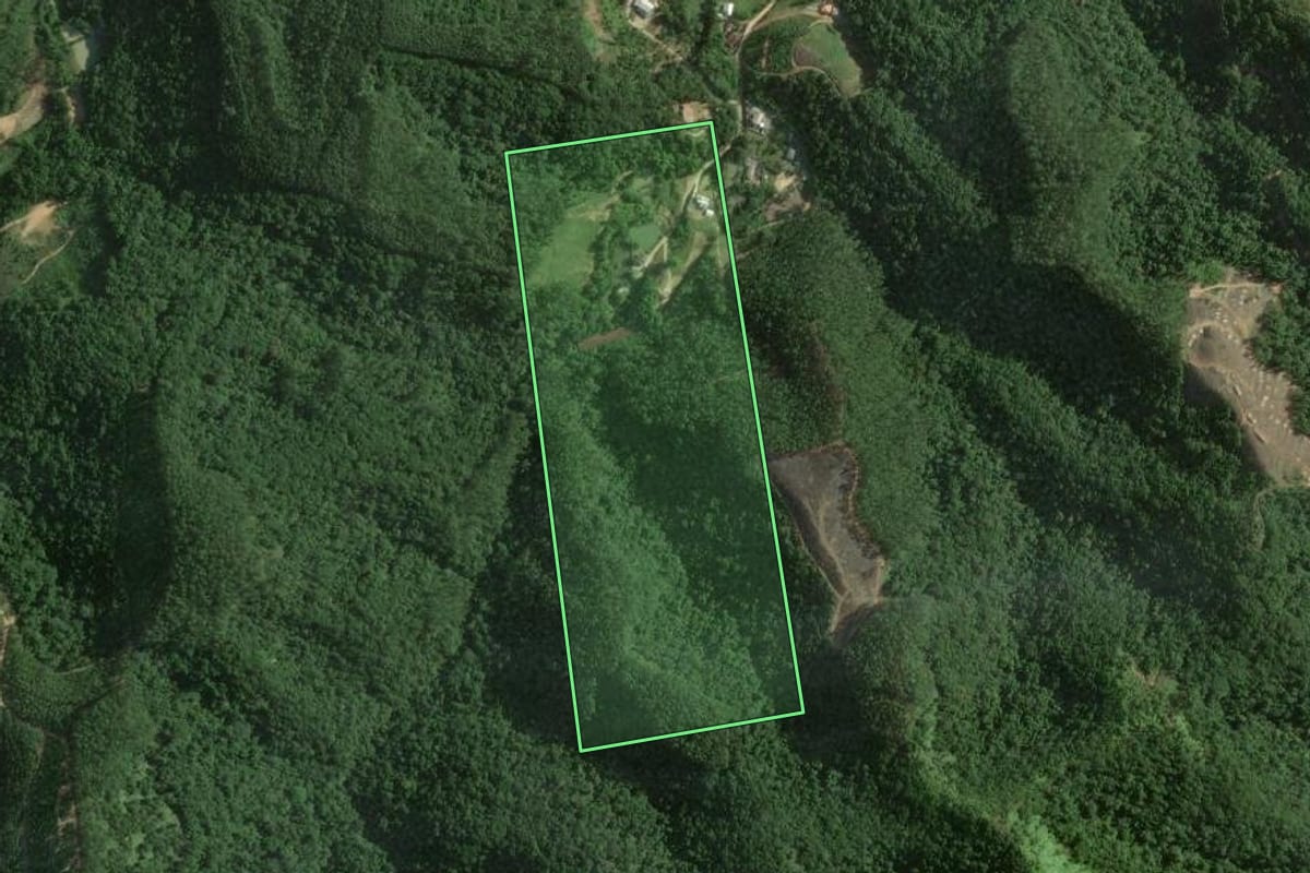 Imagem de satélite do imóvel rural em Nova Trento (SC), com o contorno declarado no CAR desenhado por cima.