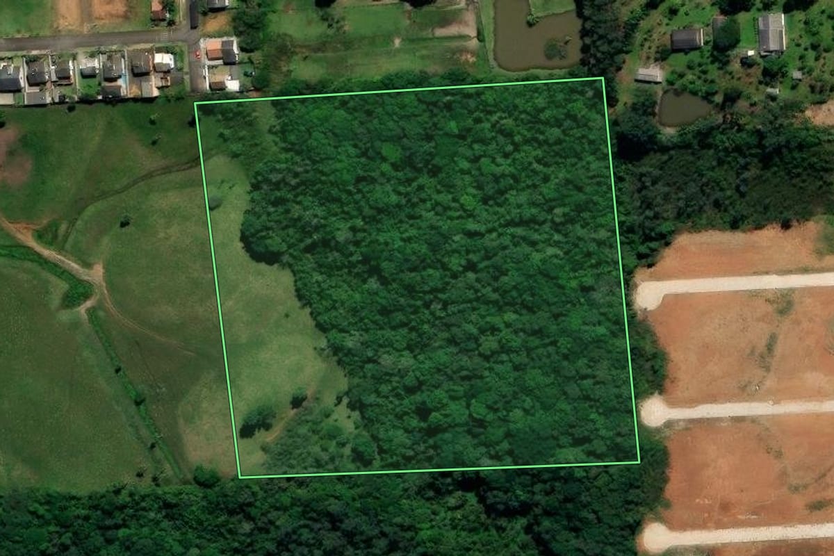 Imagem de satélite do imóvel rural em Nova Veneza (SC), com o contorno declarado no CAR desenhado por cima.