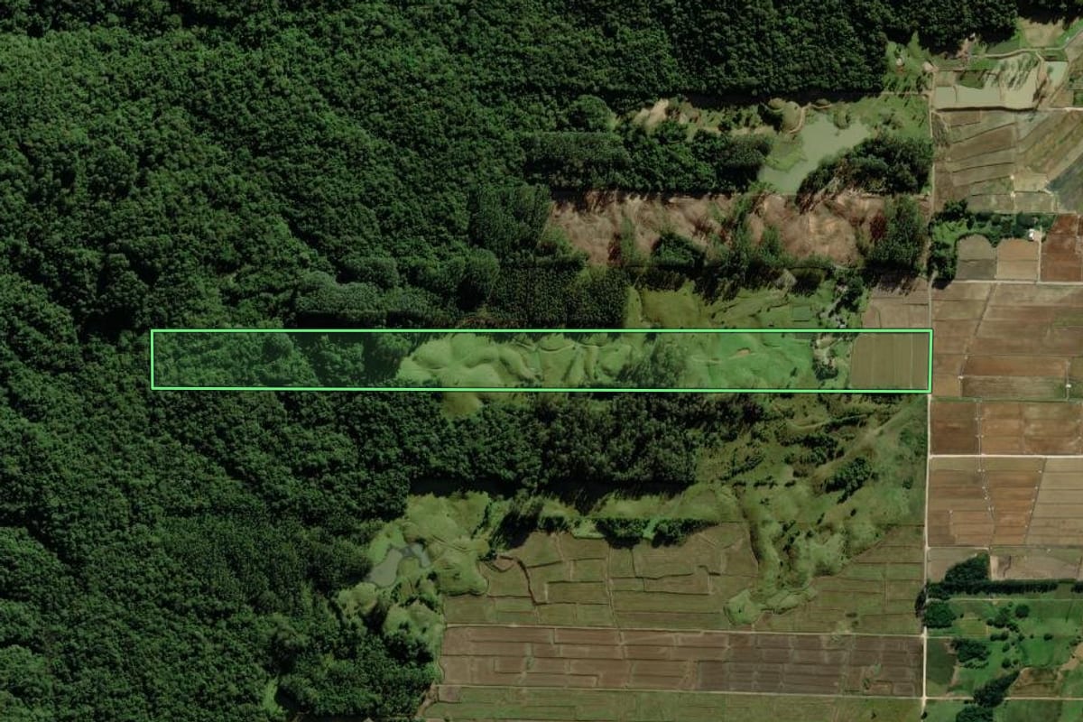Imagem de satélite do imóvel rural em Nova Veneza (SC), com o contorno declarado no CAR desenhado por cima.