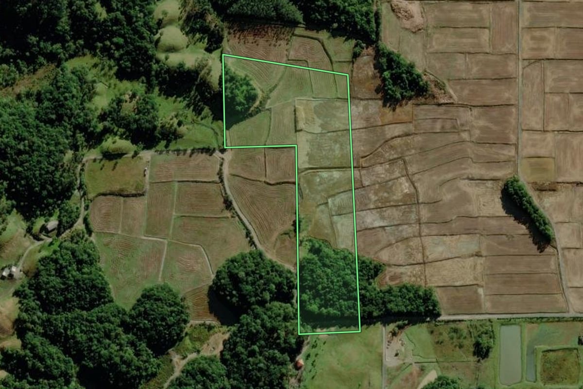 Imagem de satélite do imóvel rural em Nova Veneza (SC), com o contorno declarado no CAR desenhado por cima.