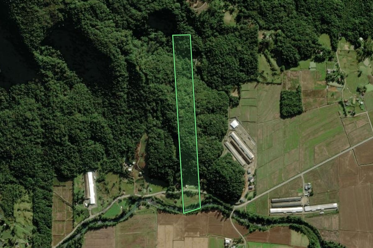 Imagem de satélite do imóvel rural em Nova Veneza (SC), com o contorno declarado no CAR desenhado por cima.
