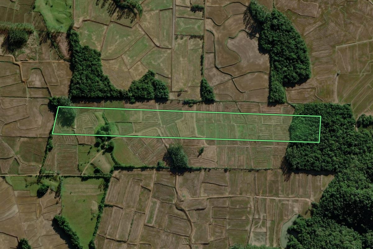Imagem de satélite do imóvel rural em Nova Veneza (SC), com o contorno declarado no CAR desenhado por cima.