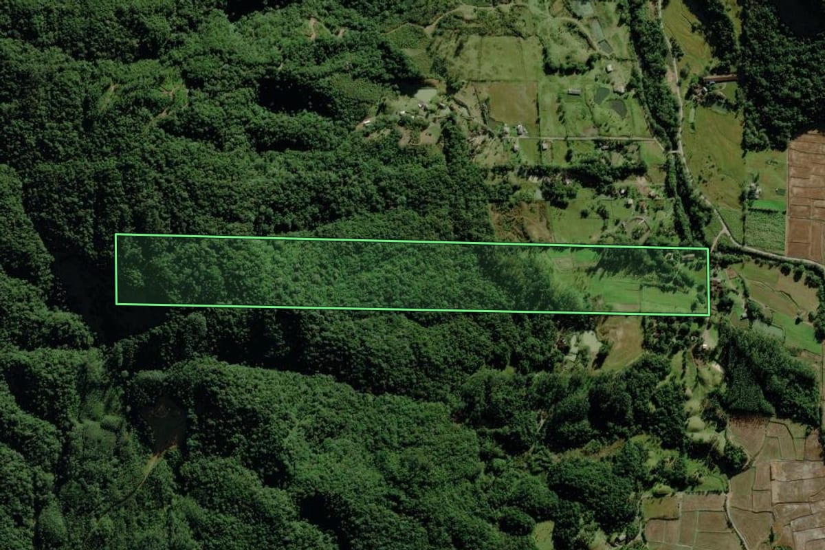 Imagem de satélite do imóvel rural em Nova Veneza (SC), com o contorno declarado no CAR desenhado por cima.