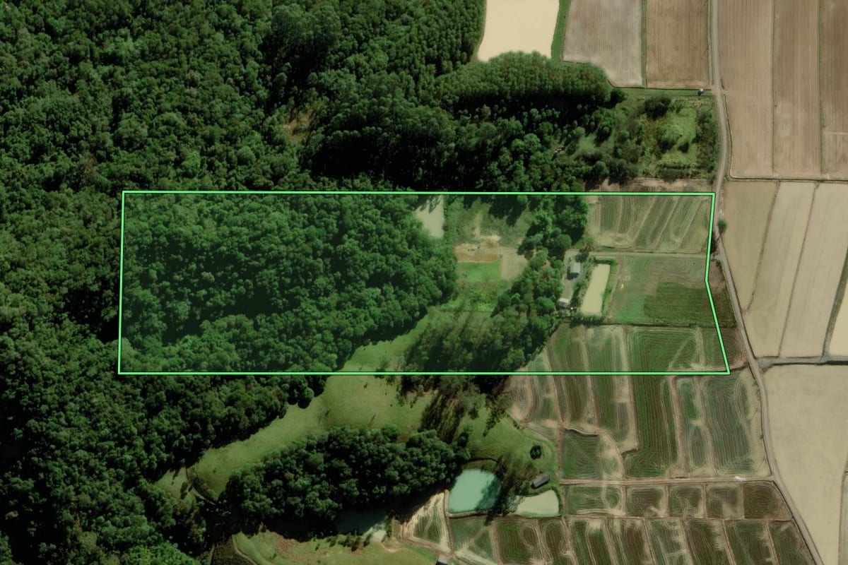 Imagem de satélite do imóvel rural em Nova Veneza (SC), com o contorno declarado no CAR desenhado por cima.