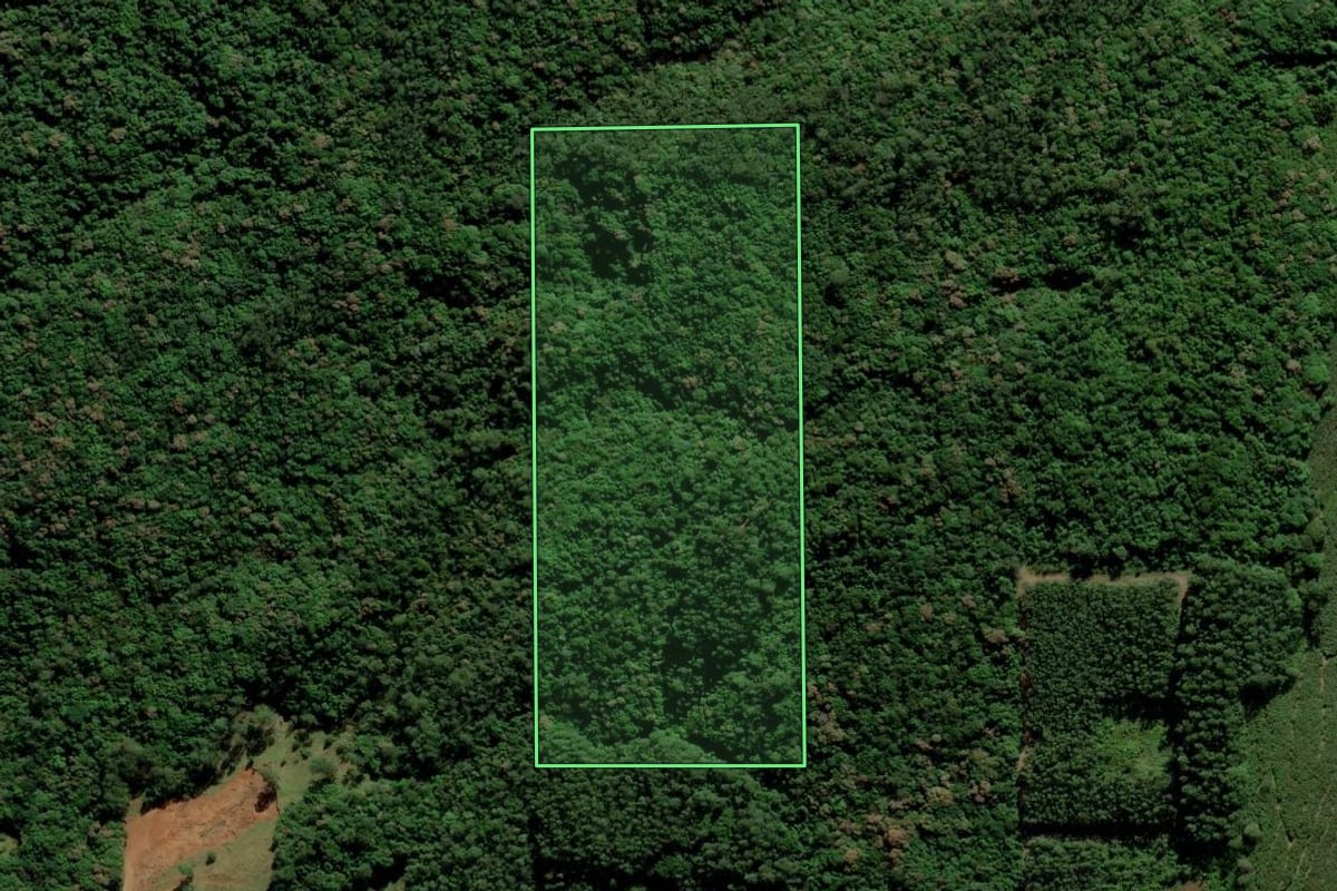 Imagem de satélite do imóvel rural em Nova Veneza (SC), com o contorno declarado no CAR desenhado por cima.
