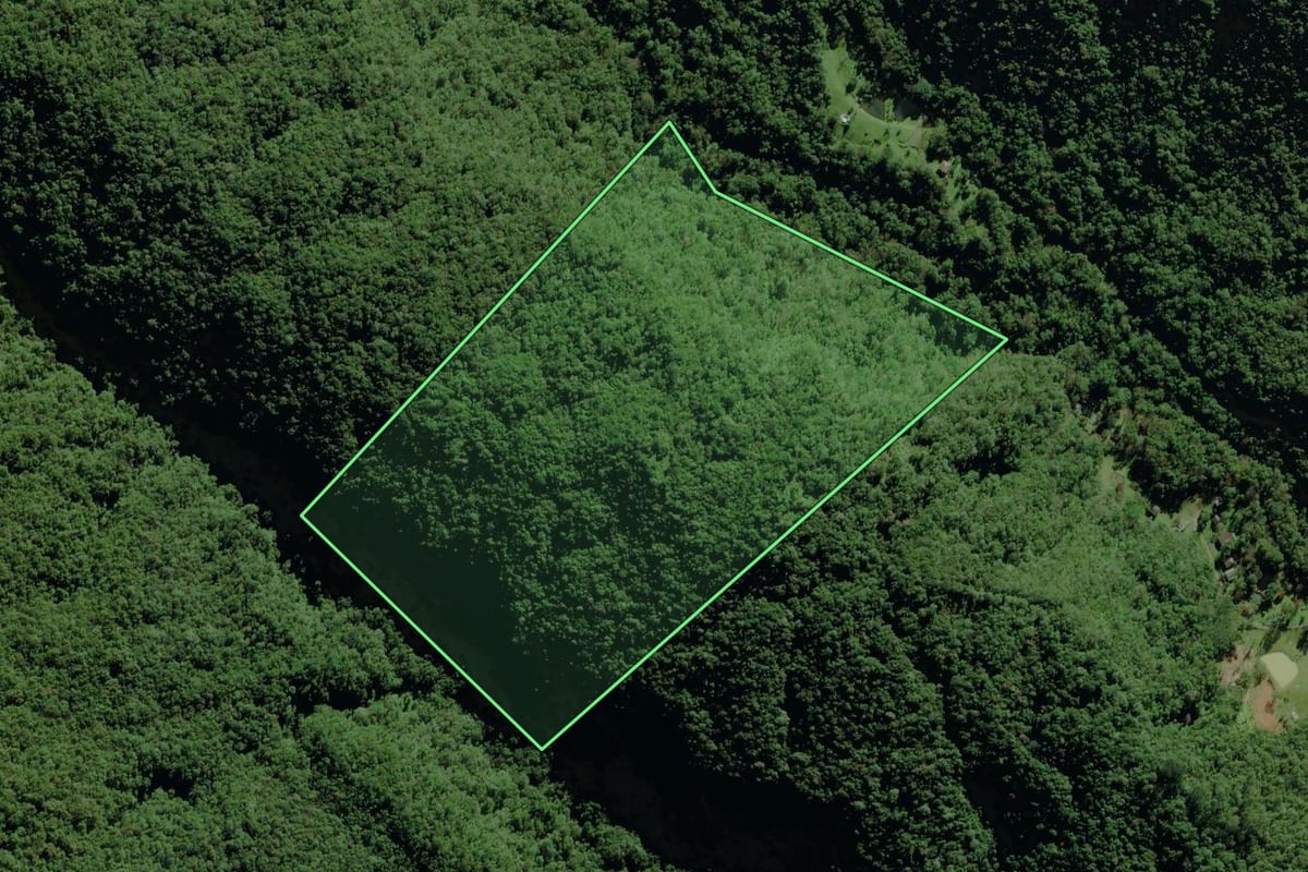 Imagem de satélite do imóvel rural em Nova Veneza (SC), com o contorno declarado no CAR desenhado por cima.