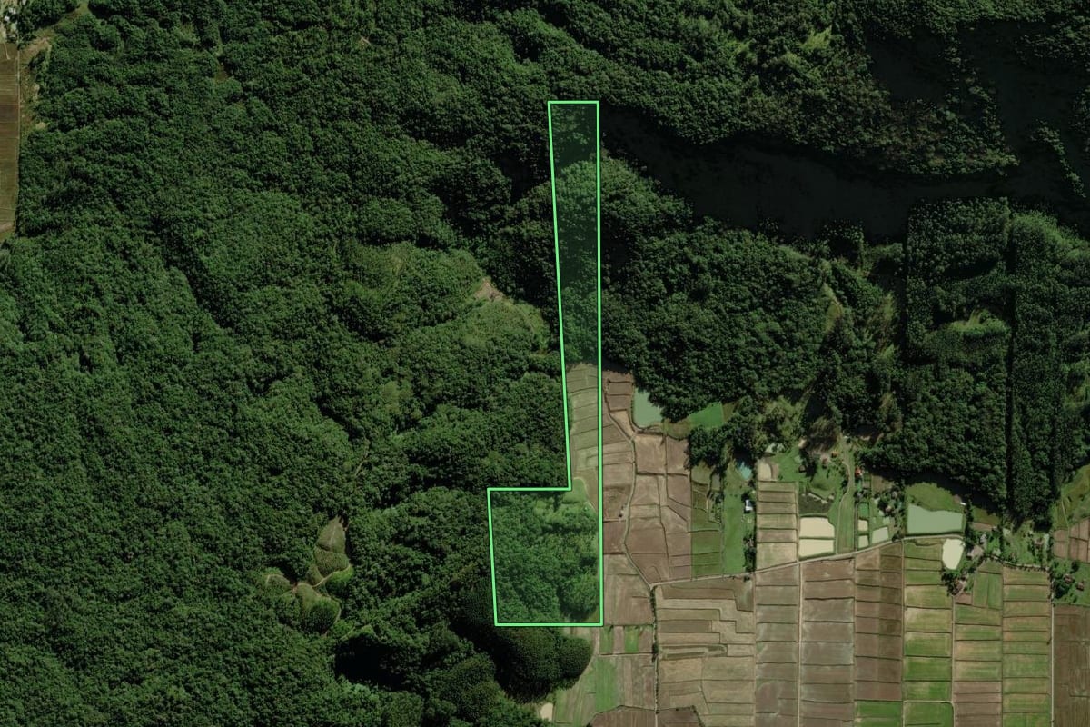 Imagem de satélite do imóvel rural em Nova Veneza (SC), com o contorno declarado no CAR desenhado por cima.