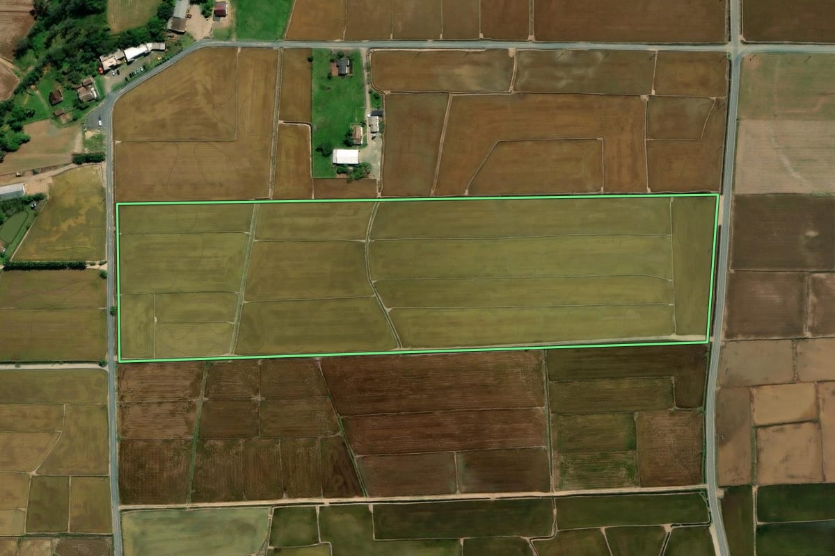 Imagem de satélite do imóvel rural em Nova Veneza (SC), com o contorno declarado no CAR desenhado por cima.