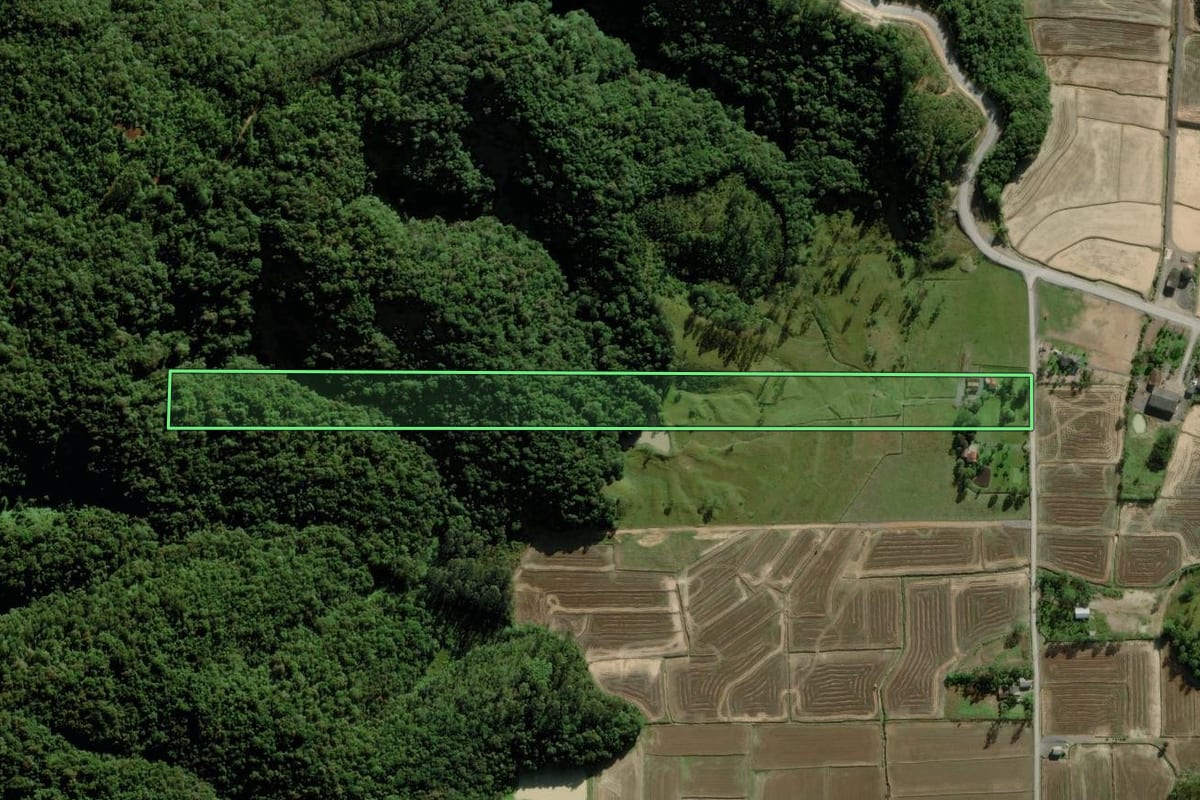 Imagem de satélite do imóvel rural em Nova Veneza (SC), com o contorno declarado no CAR desenhado por cima.