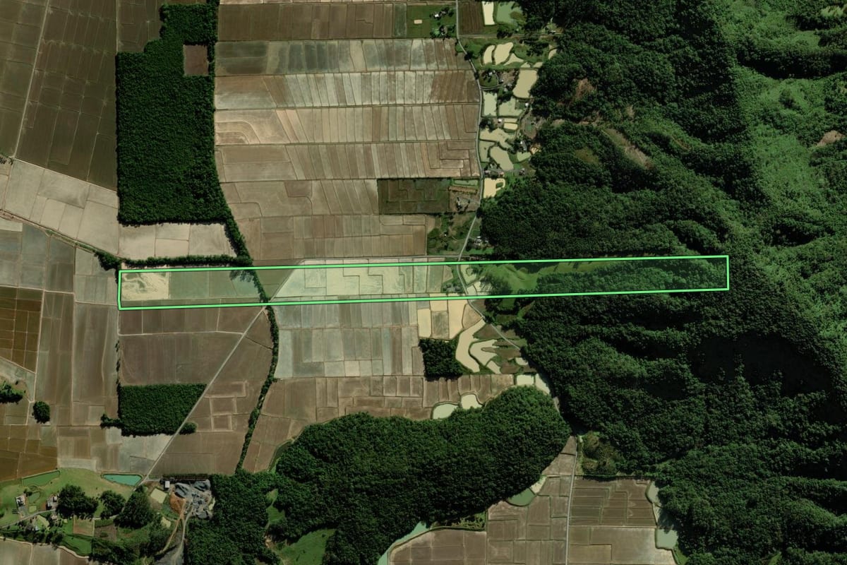 Imagem de satélite do imóvel rural em Nova Veneza (SC), com o contorno declarado no CAR desenhado por cima.