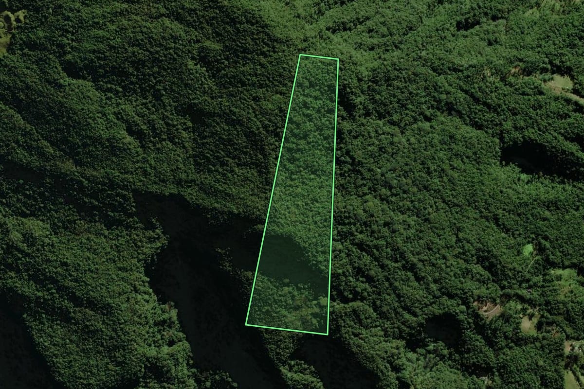 Imagem de satélite do imóvel rural em Nova Veneza (SC), com o contorno declarado no CAR desenhado por cima.
