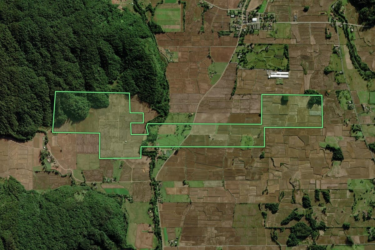 Imagem de satélite do imóvel rural em Nova Veneza (SC), com o contorno declarado no CAR desenhado por cima.