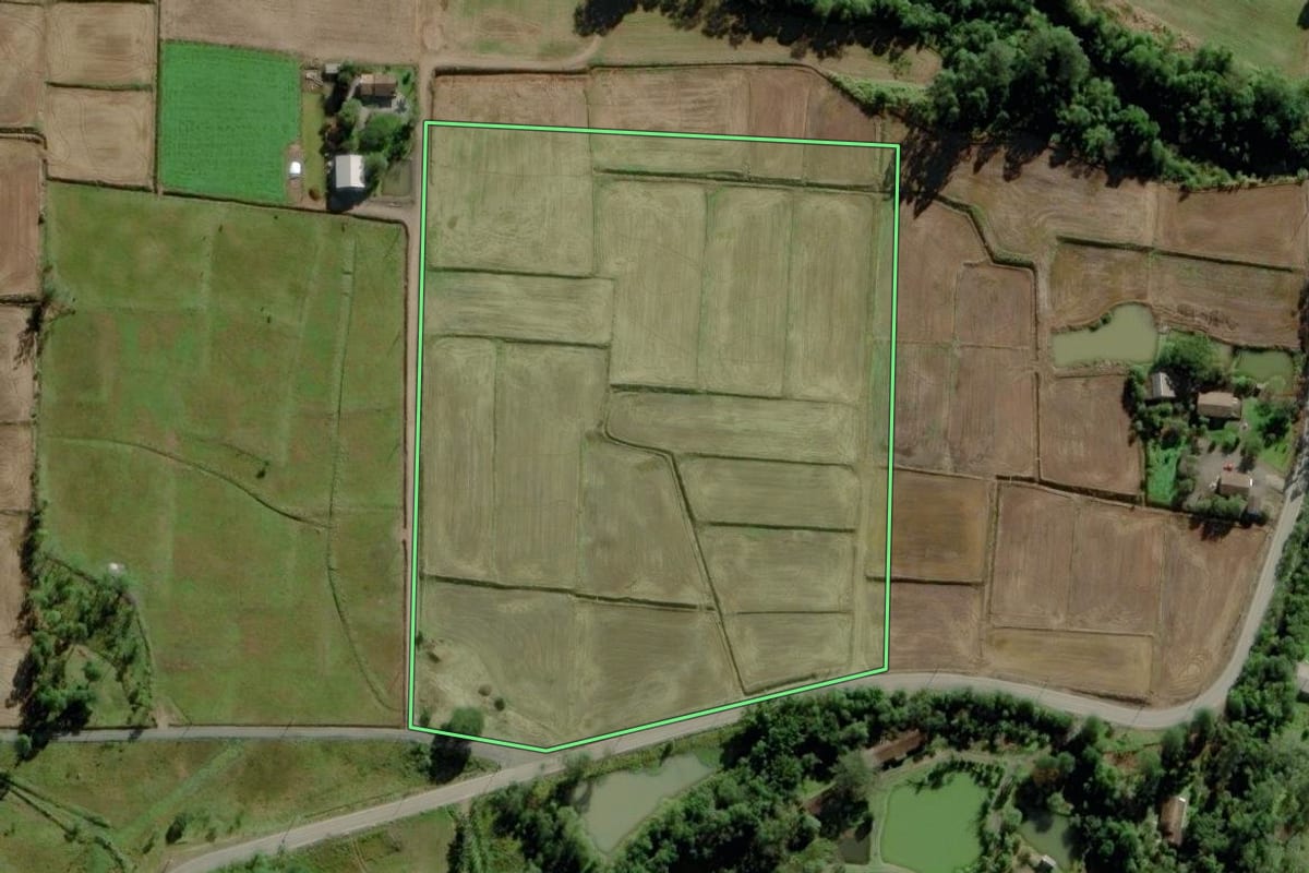 Imagem de satélite do imóvel rural em Nova Veneza (SC), com o contorno declarado no CAR desenhado por cima.
