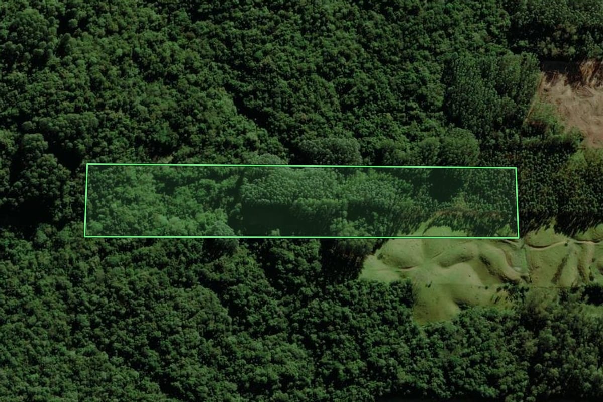 Imagem de satélite do imóvel rural em Nova Veneza (SC), com o contorno declarado no CAR desenhado por cima.