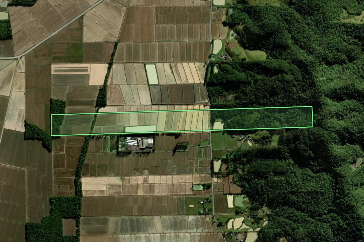 Imagem de satélite do imóvel rural em Nova Veneza (SC), com o contorno declarado no CAR desenhado por cima.