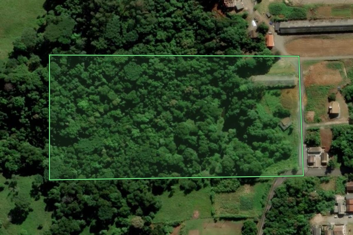 Imagem de satélite do imóvel rural em Nova Veneza (SC), com o contorno declarado no CAR desenhado por cima.