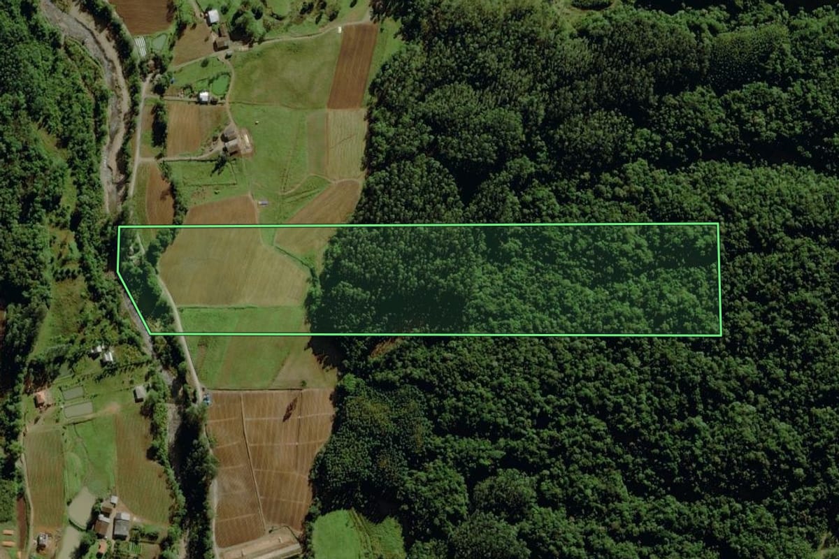 Imagem de satélite do imóvel rural em Nova Veneza (SC), com o contorno declarado no CAR desenhado por cima.