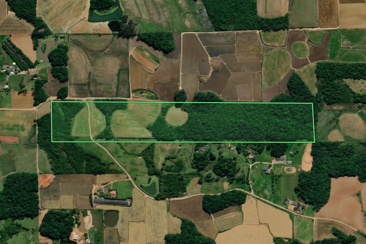 Imagem de satélite do imóvel rural em Nova Veneza (SC), com o contorno declarado no CAR desenhado por cima.
