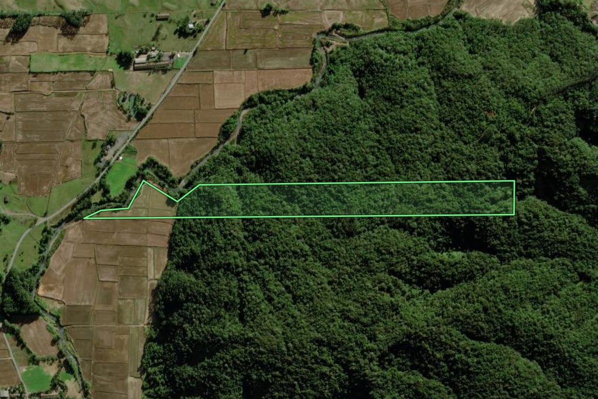 Imagem de satélite do imóvel rural em Nova Veneza (SC), com o contorno declarado no CAR desenhado por cima.