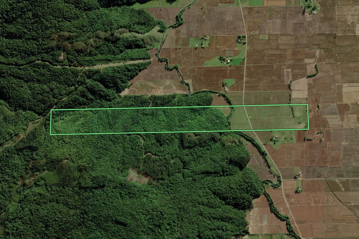 Imagem de satélite do imóvel rural em Nova Veneza (SC), com o contorno declarado no CAR desenhado por cima.