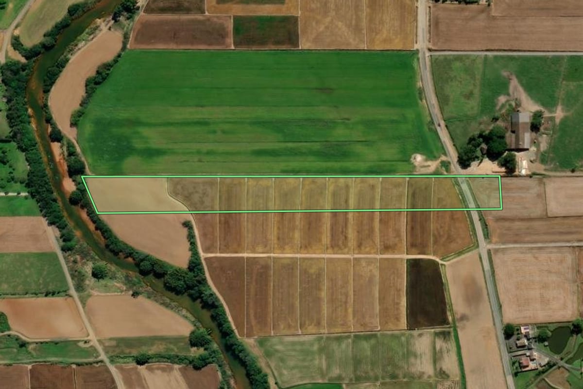 Imagem de satélite do imóvel rural em Nova Veneza (SC), com o contorno declarado no CAR desenhado por cima.