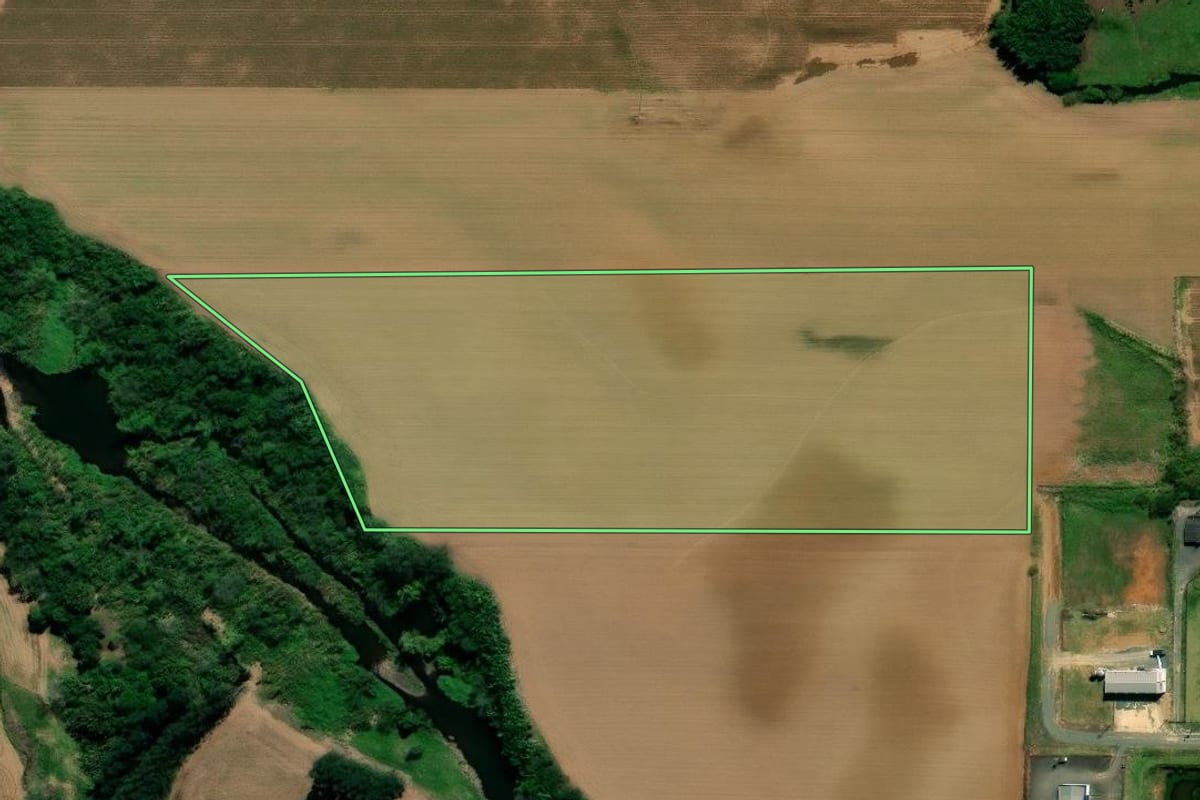 Imagem de satélite do imóvel rural em Nova Veneza (SC), com o contorno declarado no CAR desenhado por cima.