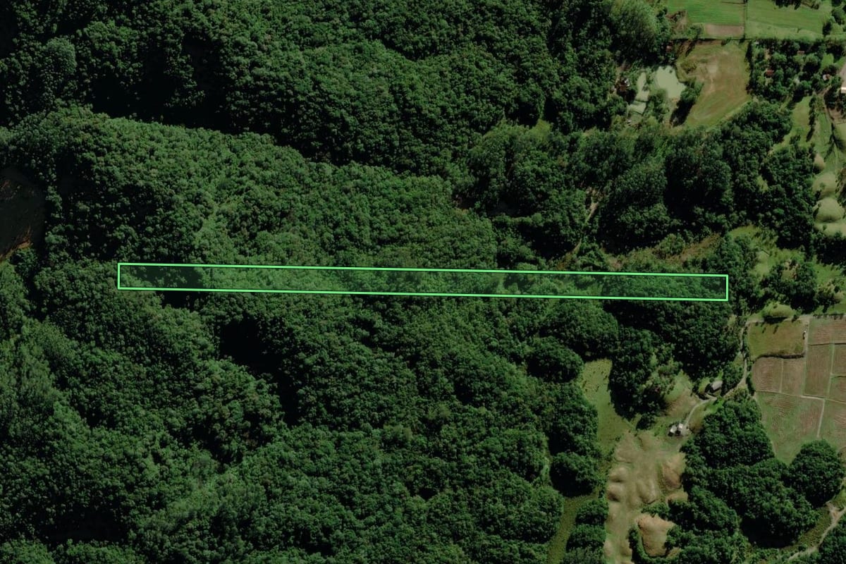 Imagem de satélite do imóvel rural em Nova Veneza (SC), com o contorno declarado no CAR desenhado por cima.