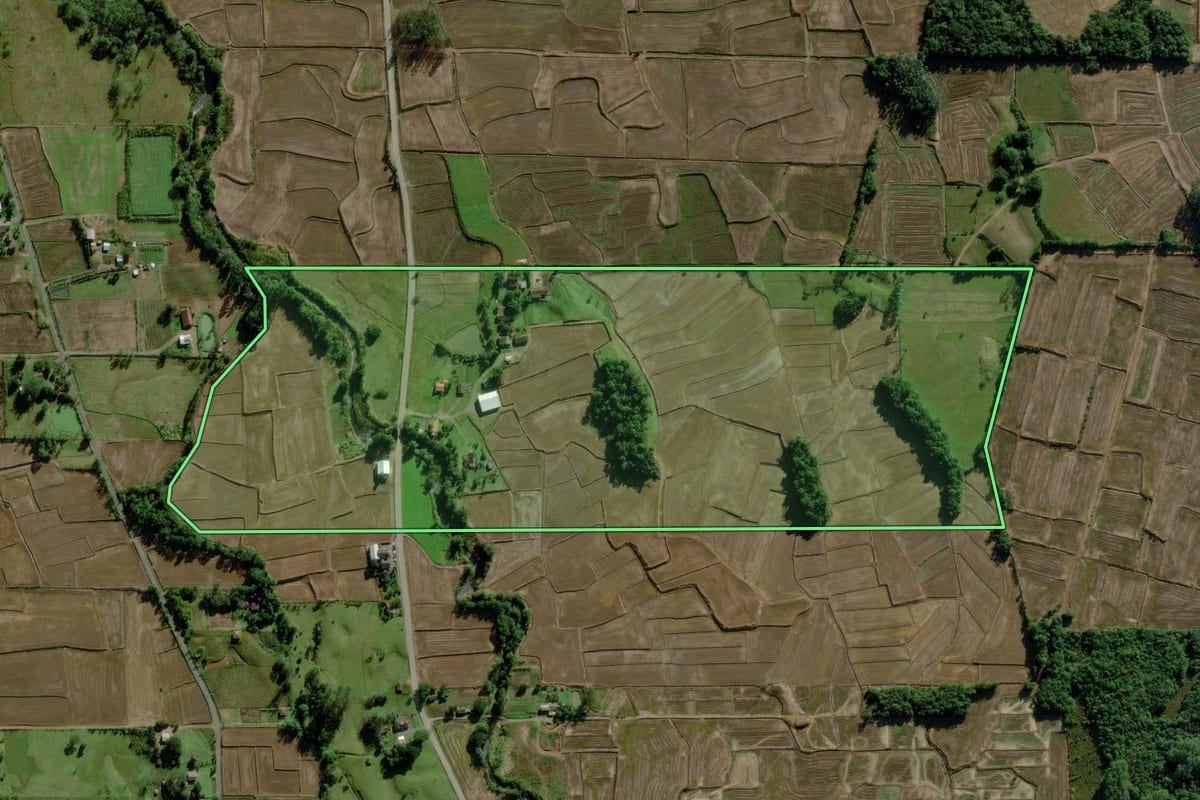 Imagem de satélite do imóvel rural em Nova Veneza (SC), com o contorno declarado no CAR desenhado por cima.
