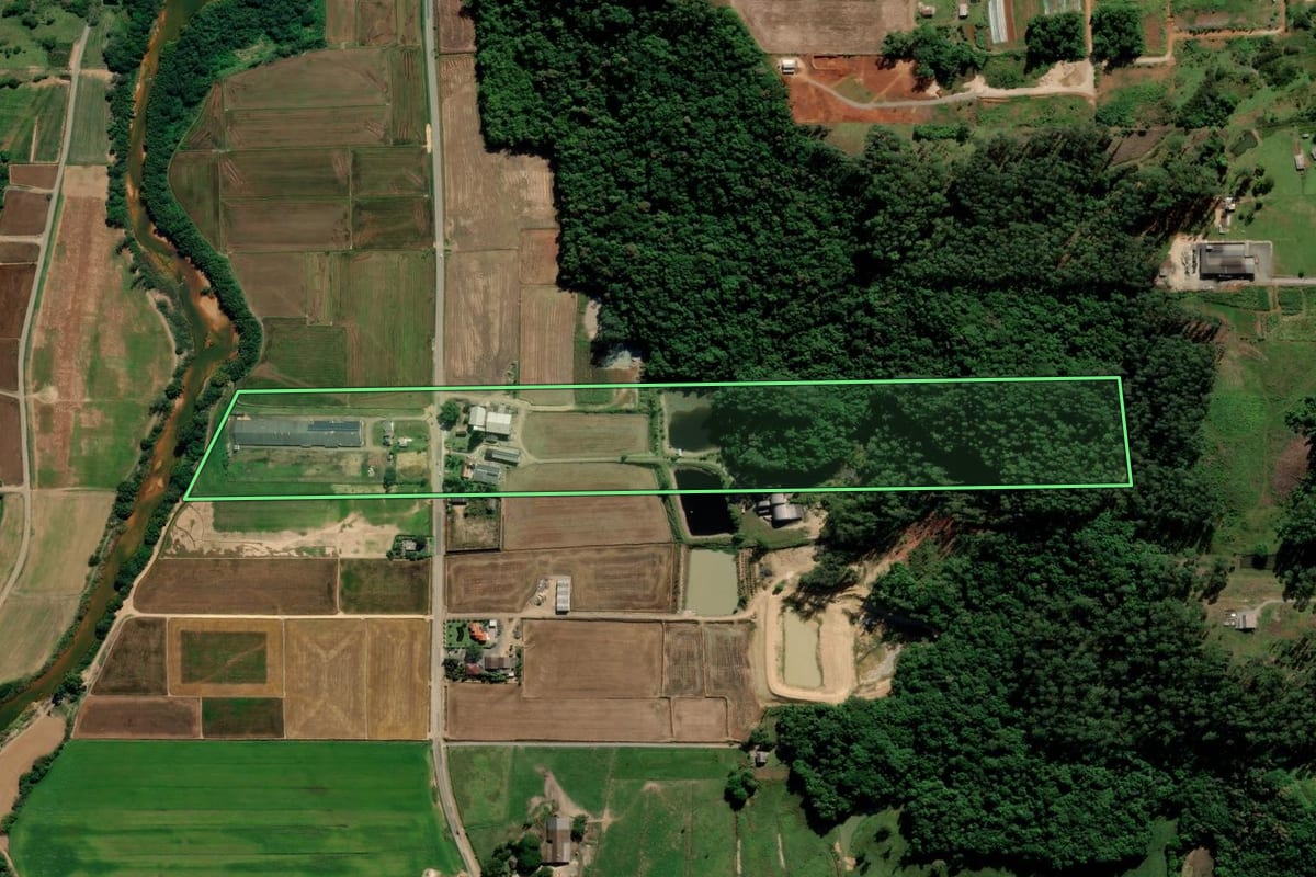 Imagem de satélite do imóvel rural em Nova Veneza (SC), com o contorno declarado no CAR desenhado por cima.