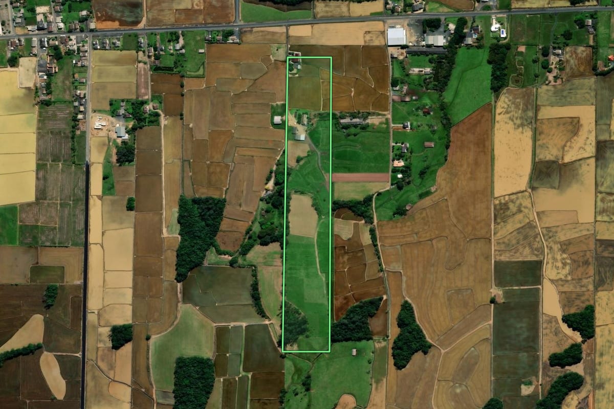 Imagem de satélite do imóvel rural em Nova Veneza (SC), com o contorno declarado no CAR desenhado por cima.