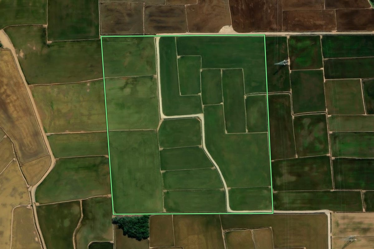 Imagem de satélite do imóvel rural em Nova Veneza (SC), com o contorno declarado no CAR desenhado por cima.