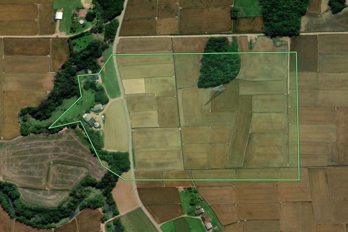 Imagem de satélite do imóvel rural em Nova Veneza (SC), com o contorno declarado no CAR desenhado por cima.