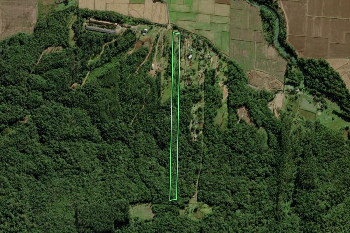 Imagem de satélite do imóvel rural em Nova Veneza (SC), com o contorno declarado no CAR desenhado por cima.