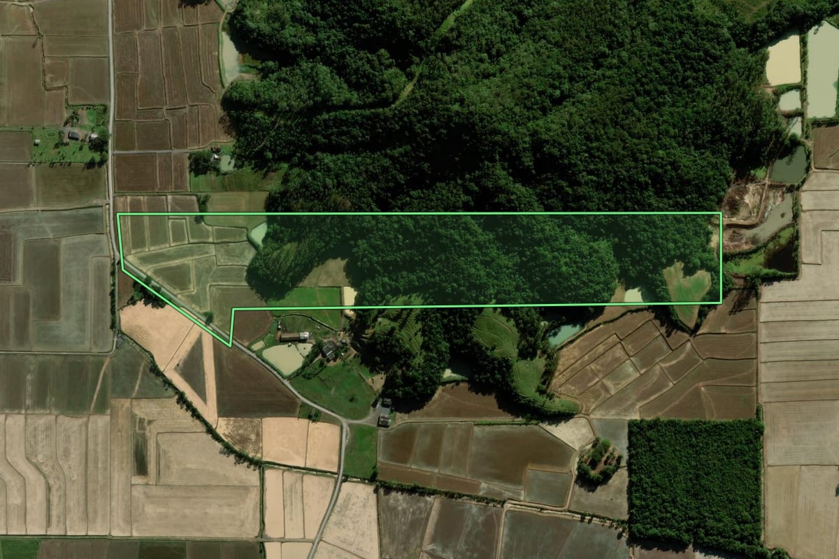 Imagem de satélite do imóvel rural em Nova Veneza (SC), com o contorno declarado no CAR desenhado por cima.