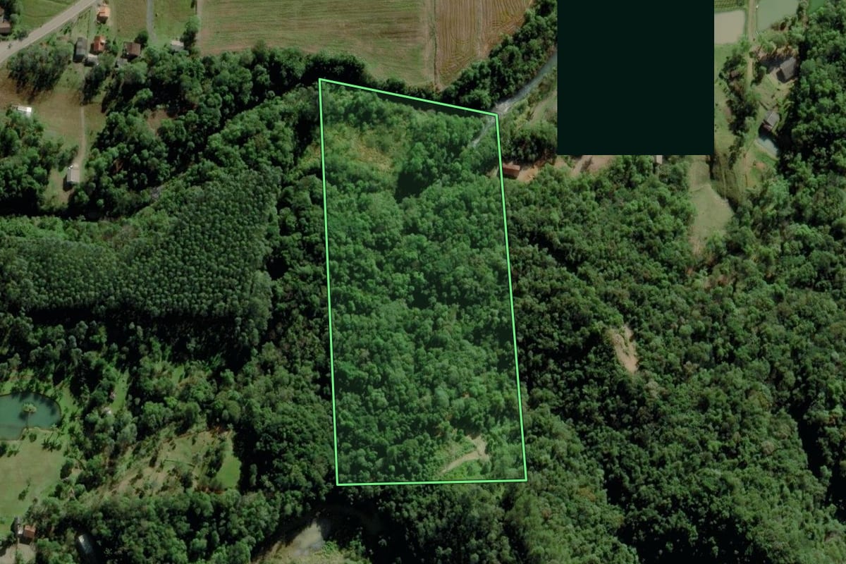 Imagem de satélite do imóvel rural em Nova Veneza (SC), com o contorno declarado no CAR desenhado por cima.