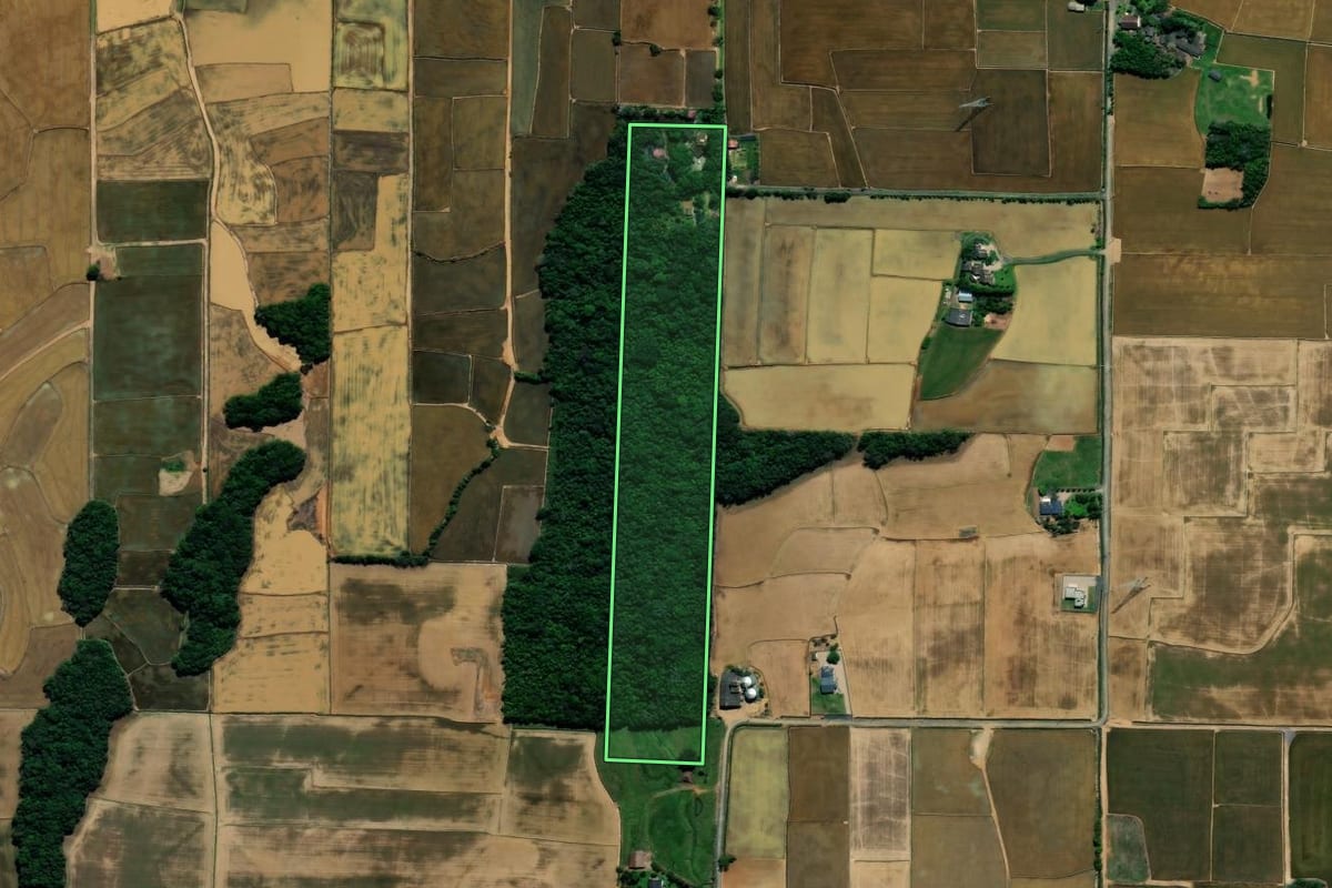 Imagem de satélite do imóvel rural em Nova Veneza (SC), com o contorno declarado no CAR desenhado por cima.