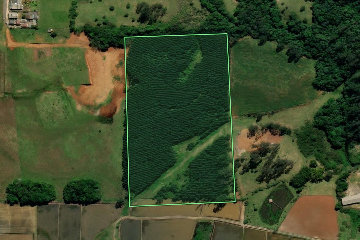 Imagem de satélite do imóvel rural em Nova Veneza (SC), com o contorno declarado no CAR desenhado por cima.