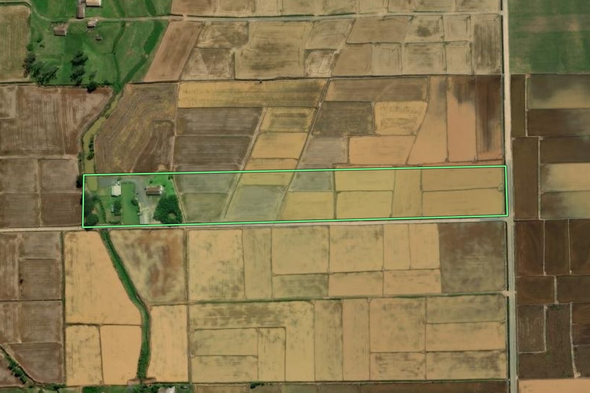 Imagem de satélite do imóvel rural em Nova Veneza (SC), com o contorno declarado no CAR desenhado por cima.
