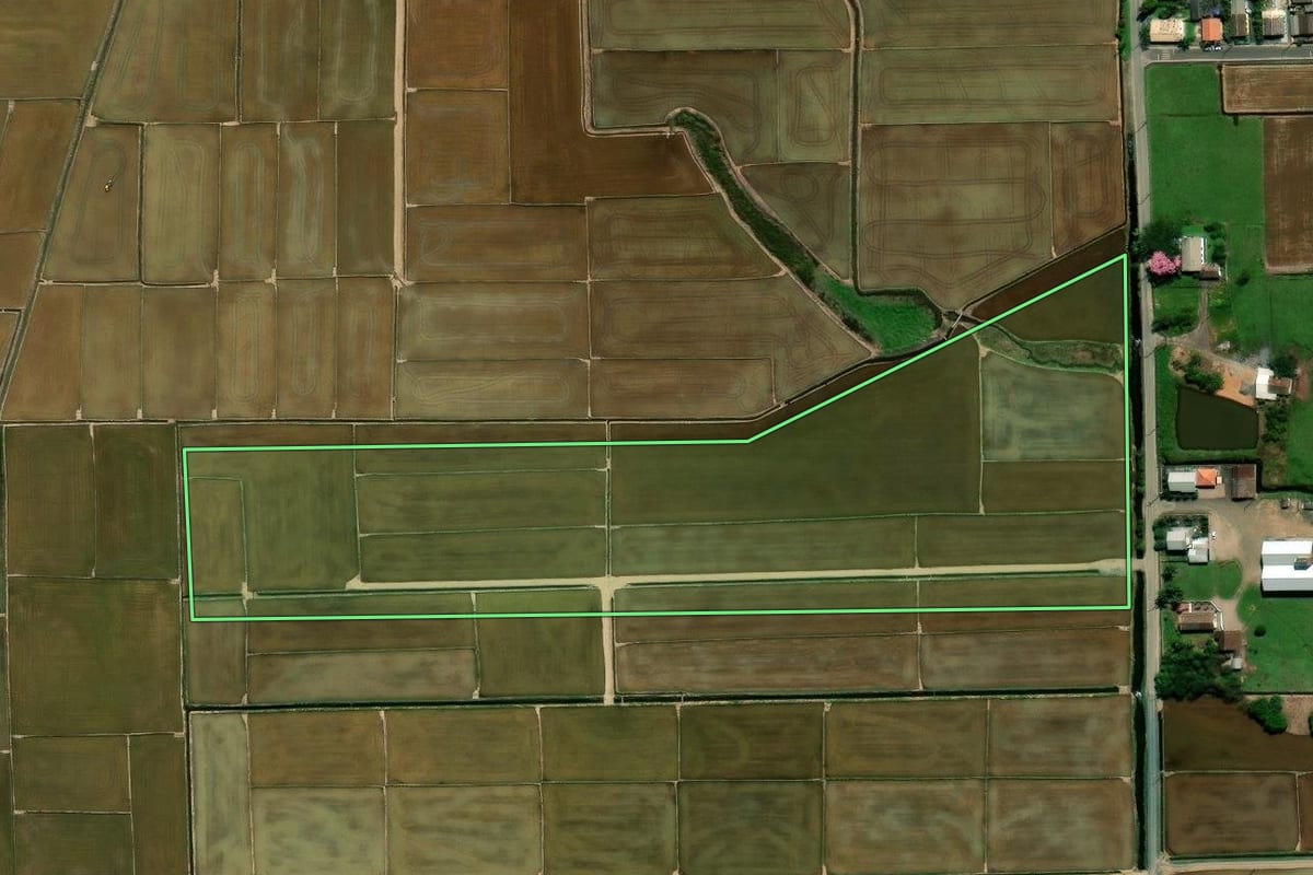 Imagem de satélite do imóvel rural em Nova Veneza (SC), com o contorno declarado no CAR desenhado por cima.