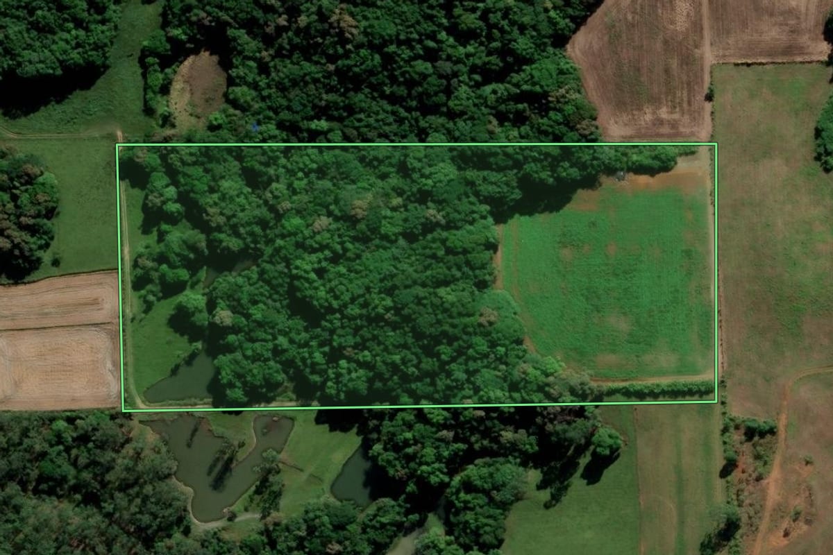 Imagem de satélite do imóvel rural em Nova Veneza (SC), com o contorno declarado no CAR desenhado por cima.