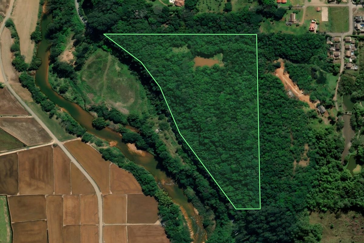 Imagem de satélite do imóvel rural em Nova Veneza (SC), com o contorno declarado no CAR desenhado por cima.