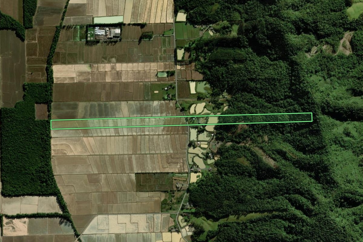 Imagem de satélite do imóvel rural em Nova Veneza (SC), com o contorno declarado no CAR desenhado por cima.