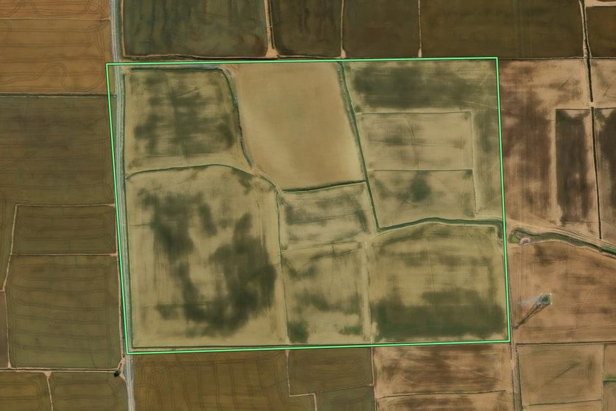 Imagem de satélite do imóvel rural em Nova Veneza (SC), com o contorno declarado no CAR desenhado por cima.