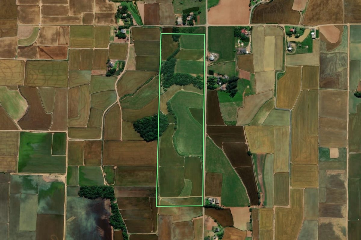 Imagem de satélite do imóvel rural em Nova Veneza (SC), com o contorno declarado no CAR desenhado por cima.