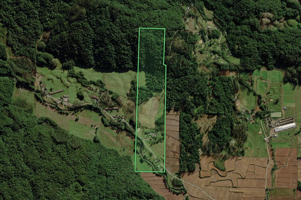 Imagem de satélite do imóvel rural em Nova Veneza (SC), com o contorno declarado no CAR desenhado por cima.