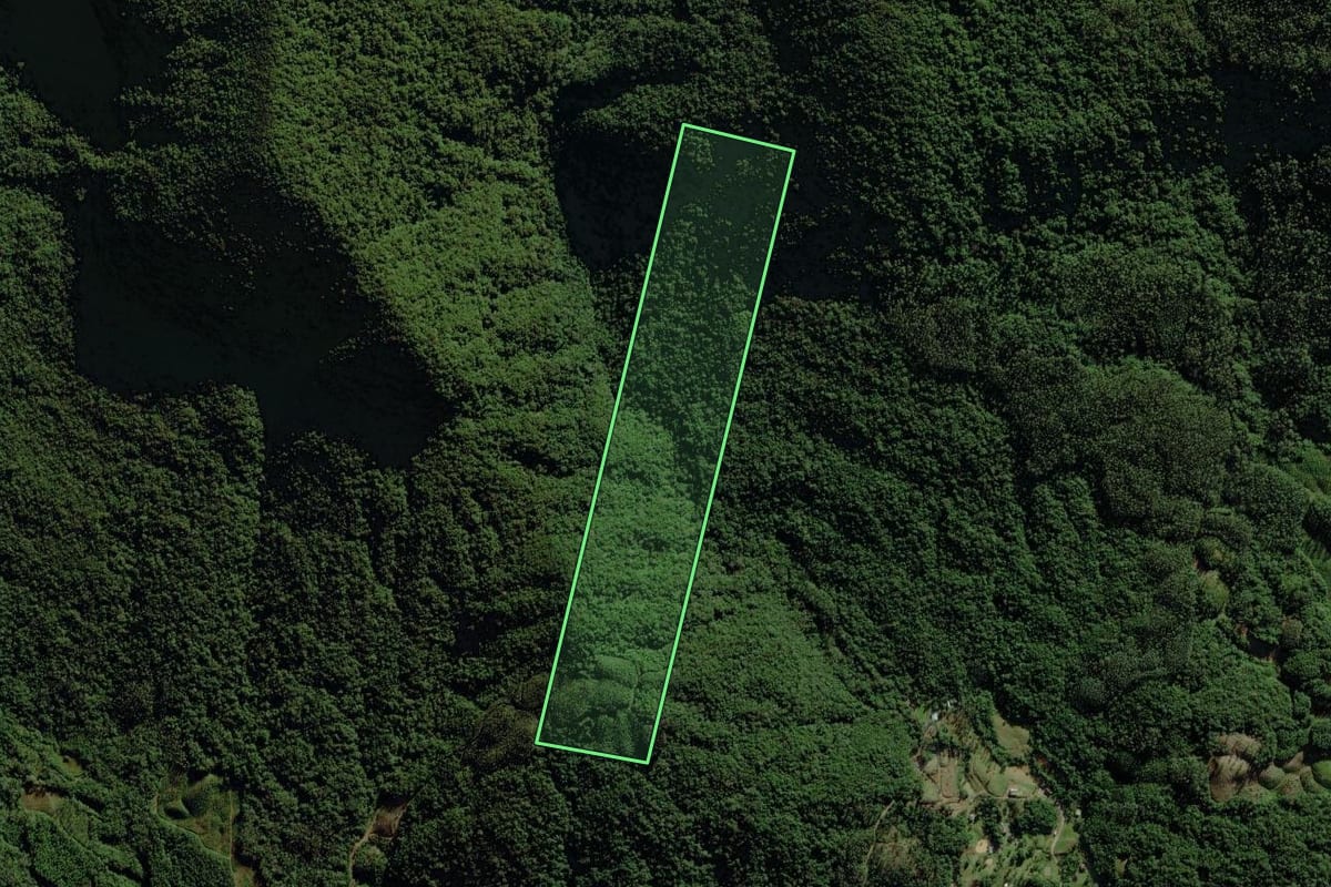 Imagem de satélite do imóvel rural em Nova Veneza (SC), com o contorno declarado no CAR desenhado por cima.
