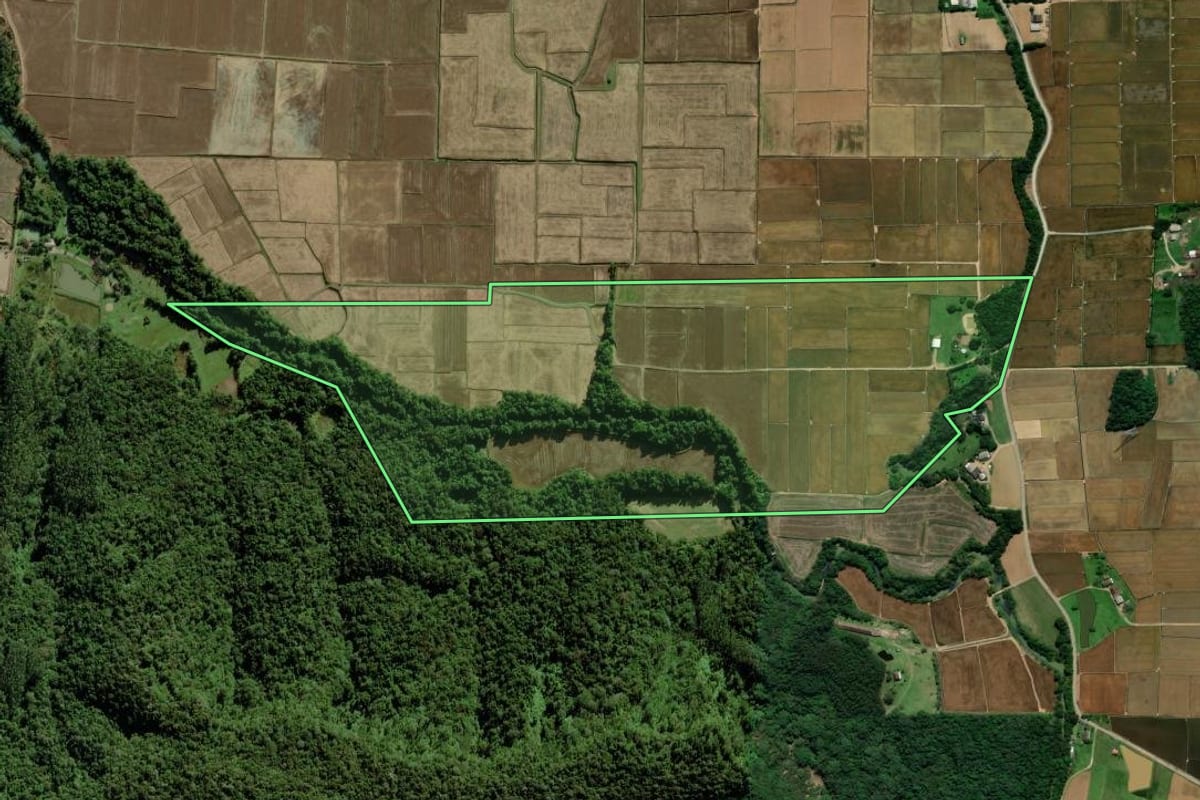 Imagem de satélite do imóvel rural em Nova Veneza (SC), com o contorno declarado no CAR desenhado por cima.