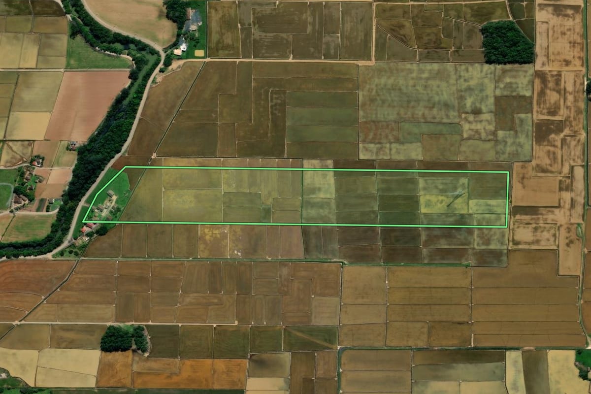 Imagem de satélite do imóvel rural em Nova Veneza (SC), com o contorno declarado no CAR desenhado por cima.