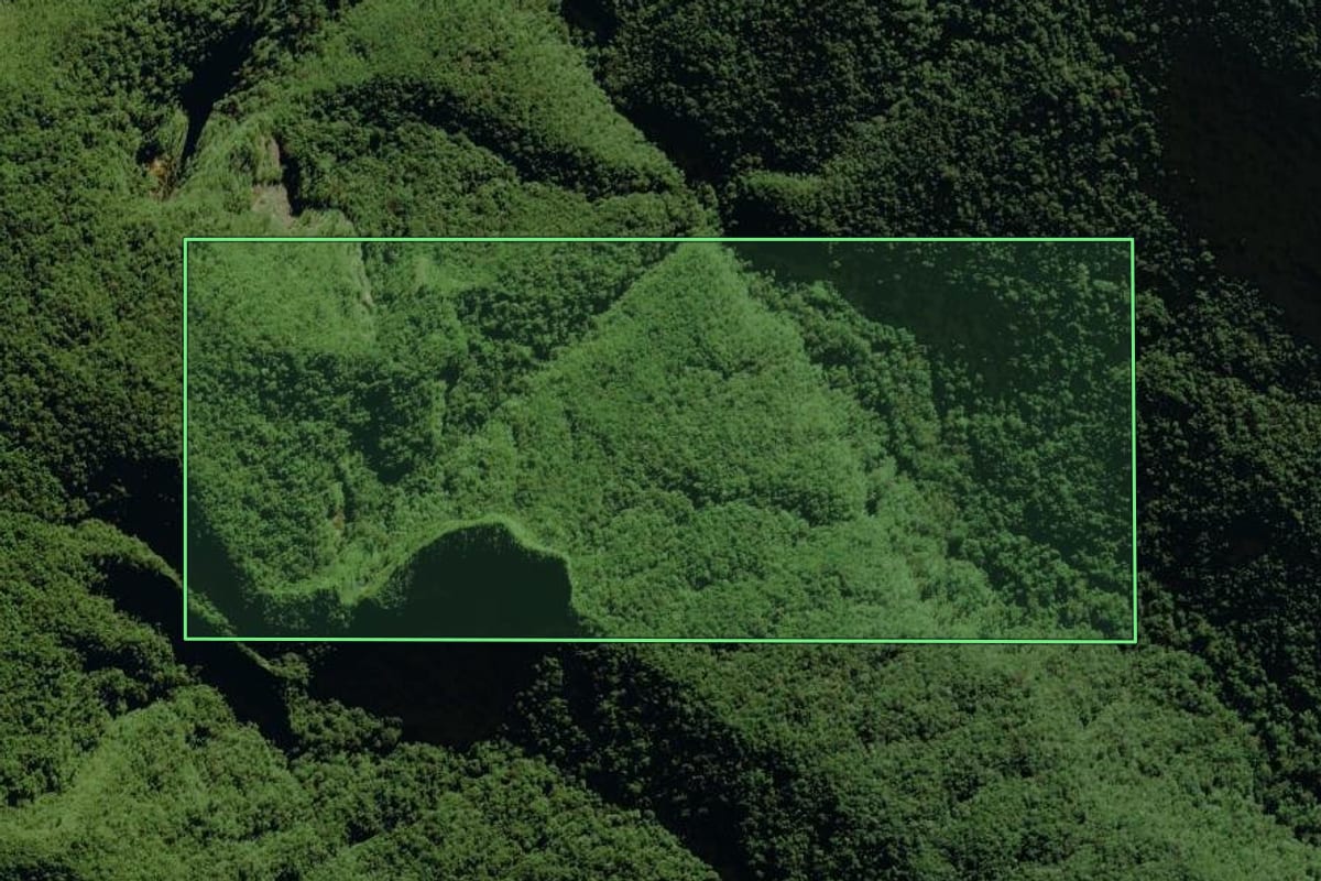 Imagem de satélite do imóvel rural em Nova Veneza (SC), com o contorno declarado no CAR desenhado por cima.